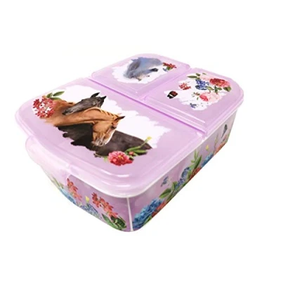 Afbeelding van Theonoi Kinderlunchbox, lunchbox, sandwichbox, lunchbox voor kinderen met vakken, broodtrommel onderverdeling kleuterschool, kinderbroodtrommel van kunststof, BPA vrij, Paarden