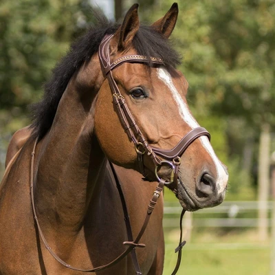 Afbeelding van QHP Hoofdstel Devi
