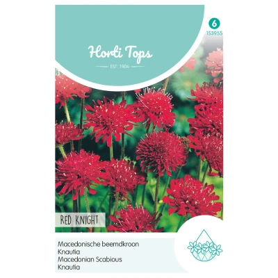 Afbeelding van Knautia, Macedonische beemdkroom Red Knight