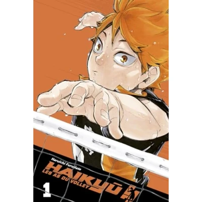 Afbeelding van HAIKYU!! ÉDITION SMASH T01