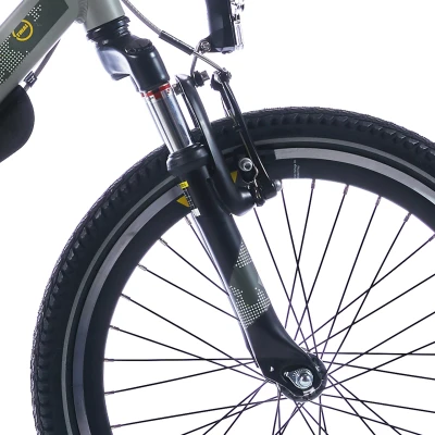 Afbeelding van Alpina Voorvork 20 Trial susp zwart