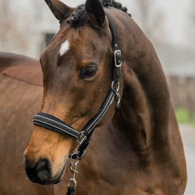Afbeelding van Horka Halsterset Equestrian Pro Crystals &amp; Pearls Zwart Cob