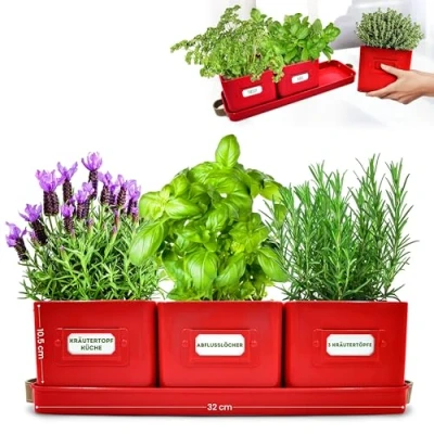 Afbeelding van Green Thumbz Kruidenpotjes, Kruidenpotten met leren handgrepen IIdeaal voor Bloempotten, Kruidentuin en Specerijen Plantenpotten keuken vensterbank dienblad inbegrepen (Red)