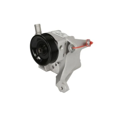 Afbeelding van Lauber Servopomp 55.2201