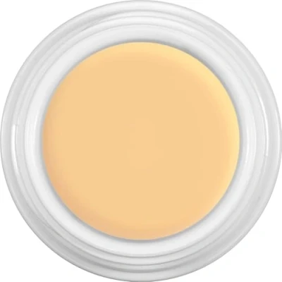 Afbeelding van Kryolan Dermacolor Camouflage Make Up 4 gr blik kleur D2