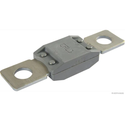 Afbeelding van Zekering HERTH+BUSS ELPARTS 50295841