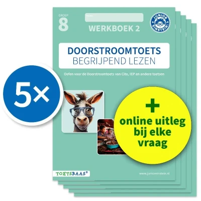 Afbeelding van Doorstroomtoets begrijpend lezen (set van 5) groep 8 Werkboek 2