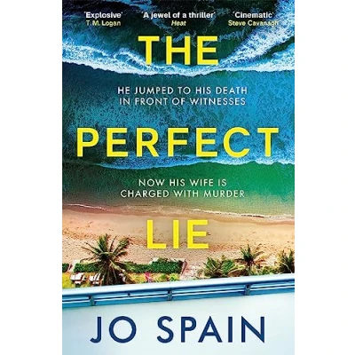 Afbeelding van The Perfect Lie