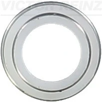Afbeelding van Reinz Klepsteeldichting 70 23062 00