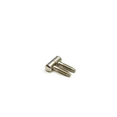 Afbeelding van DX Meubel Inboorpaumelle Smal Type 11x29mm Vernikkeld HPLM C11029NI