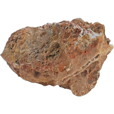 Afbeelding van Boon Aquariumsteen Maple Leaf Rock