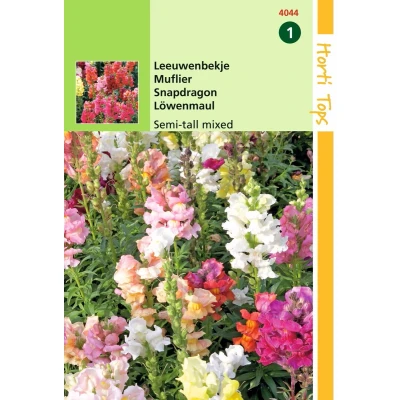 Afbeelding van 2 stuks Antirrhinum Majus Nanum Gemengd