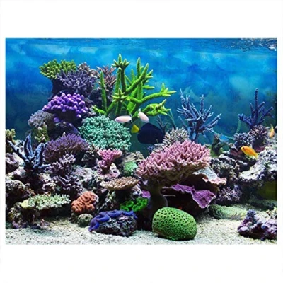 Afbeelding van Aquarium Achtergrond Poster Fish Tank PVC Lijm Onderwater Koraalrif Decor Papier Klinkers Sticker (76 x 30 cm)