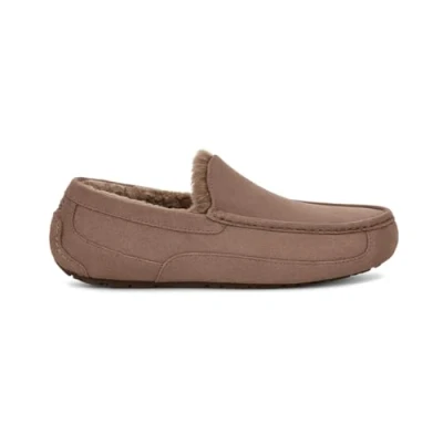 Afbeelding van UGG Slipper Ascot heren , Caraïben 41 EU