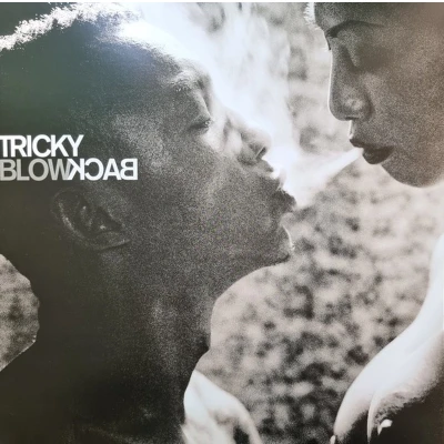 Afbeelding van Tricky Blowback (LP)