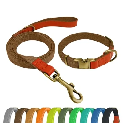 Afbeelding van Qianruida hondenhalsband en riem, set voor honden, halsband verstelbare kleine, middelgrote grote bruin, M