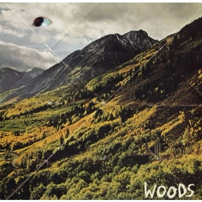 Afbeelding van Woods Songs Of Shame