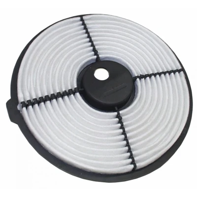 Afbeelding van Luchtfilter MAPCO 60467