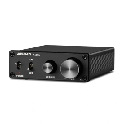 Afbeelding van AIYIMA A1001 100 W Mono Subwoofer/Stereo Audio versterker Klasse D HiFi Digitale Power AMP Voor Home DIY Theater desktop met 24V voeding