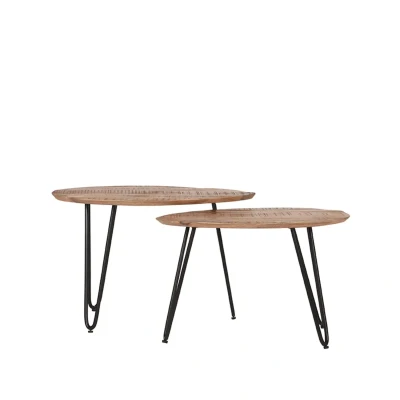 Afbeelding van LABEL51 Frisk salontafel mangohout naturel set van 2 Hout