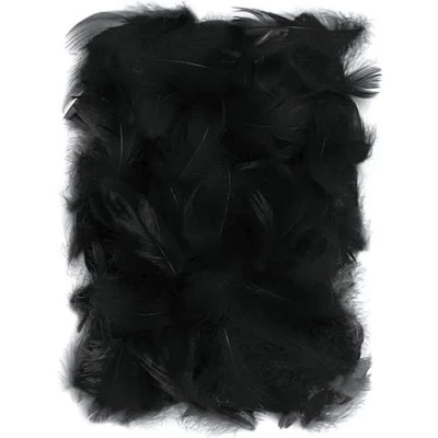 Afbeelding van Netuno 150 zwarte decoratieve vogel veren 10g natuur voor DIY Crafting pasen kerstmis figuur maskers bruiloftsfeesten