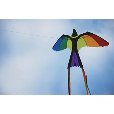 Afbeelding van Wolkenstrümer Bonny Bird Kindervlieger