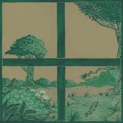 Afbeelding van Dirty Projectors &amp; David Longstreth Song Of The Earth (LP)