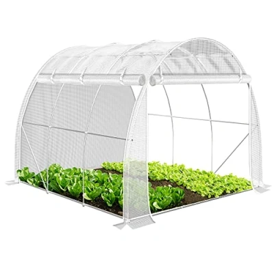 Afbeelding van VOUNOT Broeikas foliekas, zijwanden oprolbaar winterbestendig, tomatenhuis folietunnel, 3x2x2m 6m², wit