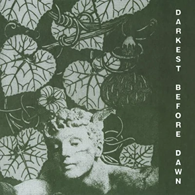 Afbeelding van Dark Day Darkest Before Dawn (CD)