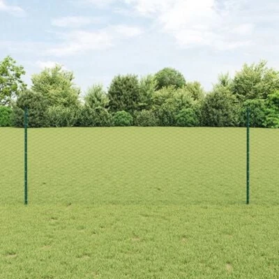 Afbeelding van vidaXL Tuinhek Set van 2 Groen Metaal 25 x 1 m Duurzaam