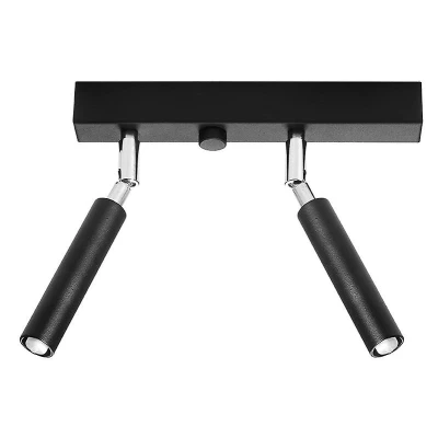 Afbeelding van 2 lichts plafondlamp Eyetech Loft46