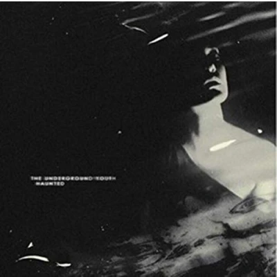 Afbeelding van Underground Youth Haunted (CD)