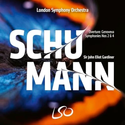Afbeelding van London Symphony Orchestra, Sir John Eliot Gardiner Schumann: Symphonies Nos.2 &amp; 4 (Super Audio CD)