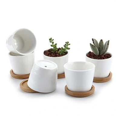 Afbeelding van T4U 6,5CM Succulente Plantenpot Set van 6, Ronde Keramiek Vetplant Bloempot met Bamboe Onderzetter, Binnen Klein Cactus Pot Afvoergat Wit voor Sappige Aloë Kruid Kamerplant Decoratieve Geschenk