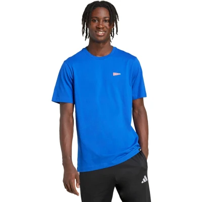 Afbeelding van adidas Sportswear Pennant TRIM Graphic Tshirt basic, Heren, Maat: XXL, Royal blue