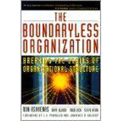 Afbeelding van The Boundaryless Organization