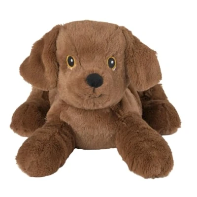 Afbeelding van Labrador puppy