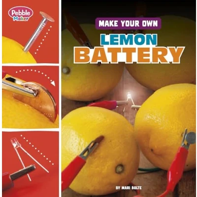 Afbeelding van Make Your Own Lemon Battery