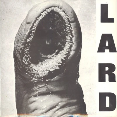 Afbeelding van Lard Power Of (LP) (Coloured Vinyl)