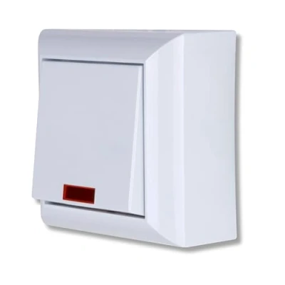 Afbeelding van REV 0501482551 PlanoLuxe, opbouwschakelaar met gloeilamp, wit