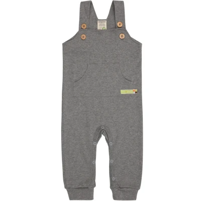 Afbeelding van loud + proud Uniseks babytuinbroek, GOTS gecertificeerd, kruippak voor peuters, grijs, 86/92 cm