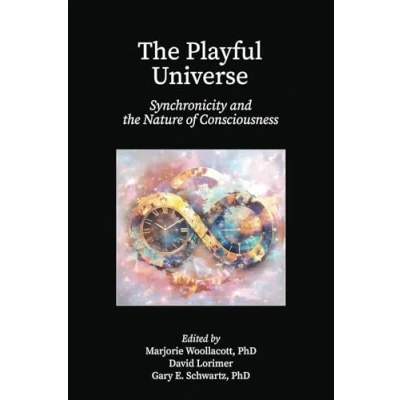 Afbeelding van the Playful Universe: Synchronicity and Nature of Consciousness