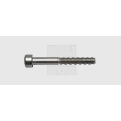 Afbeelding van SWG Inbusschroeven M5 30 mm Binnenzeskant (inbus) DIN 912 RVS A2 50 stuk(s)