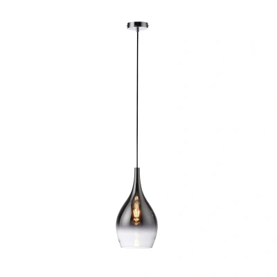 Afbeelding van Paul Neuhaus Moderne hanglamp Pilua 1 lichts 2061 17