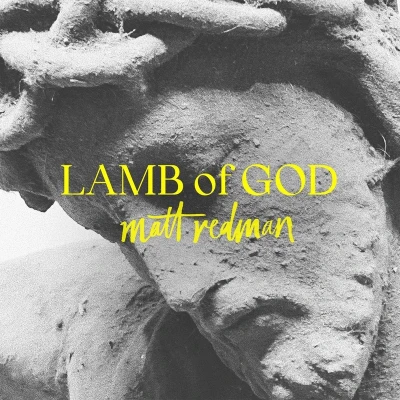 Afbeelding van Matt Redman Lamb Of God (LP)