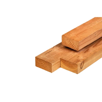 Afbeelding van Lariks/douglas Ligger Onbehandeld (Vers Hout) 5x10x500 cm