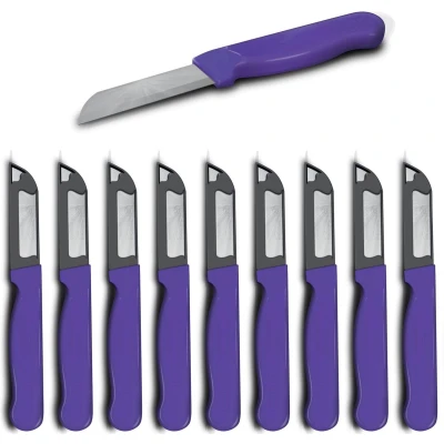 Afbeelding van Solingen Schilmesje Robuust Handvat RVS Glad 16 cm met &quot;Blade Cover&quot; Paars 10 stuks