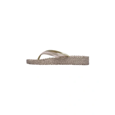 Afbeelding van Ilse Jacobsen CHEERFUL13 Teenslippers, Dames, Maat: 36, Platin Natuurrubber
