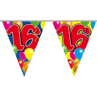 Afbeelding van Vlaggenlijn 16 jaar 10 meter Vlaggenlijnen