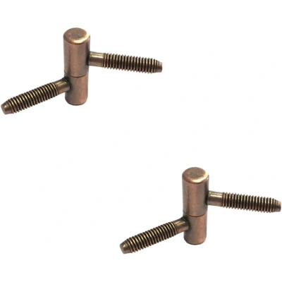 Afbeelding van Meubel inboorpaumelle 9x30mm brons 2 stuks